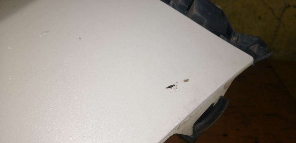 Кузов Honda Elysion 2