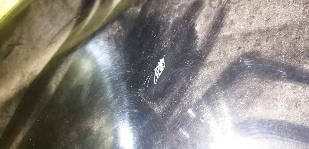 NOTE E11 КРЫЛО ПЕРЕДНЕЕ ЛЕВОЕ Nissan Note 1