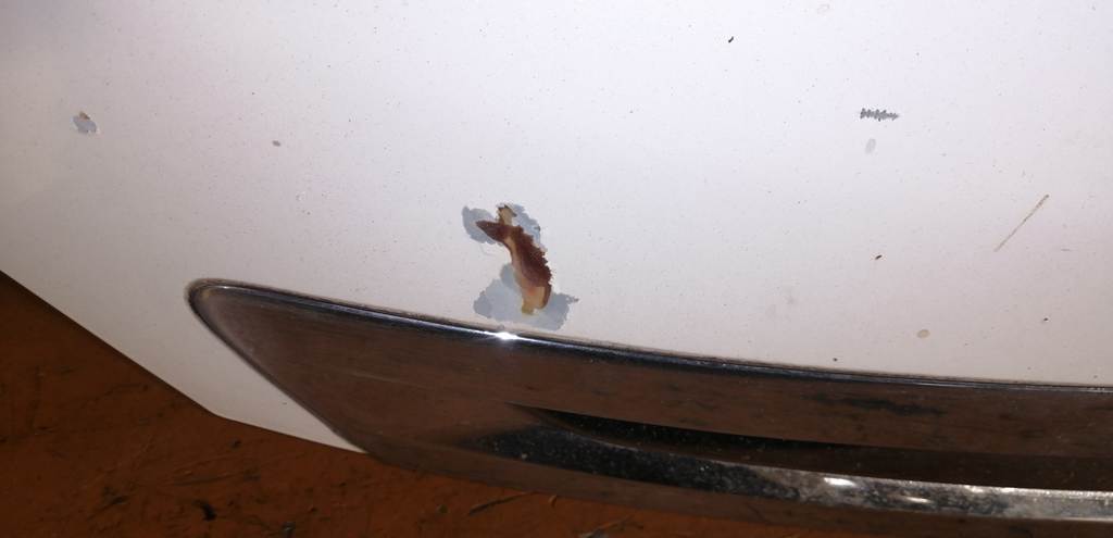 капот Honda Elysion 3