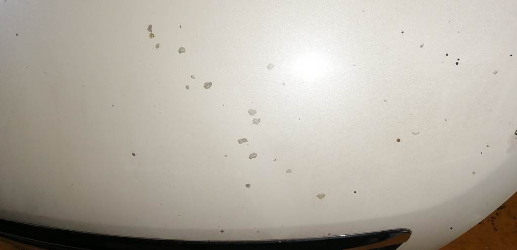 TEANA J32 КАПОТ С РЕШЕТКОЙ 1, сколы Nissan Teana 1