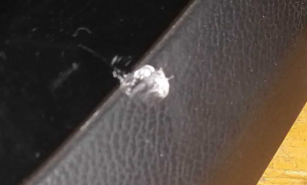 Салон Suzuki Solio 2