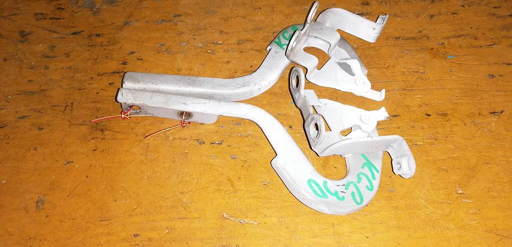 петля капота Toyota Passo 0