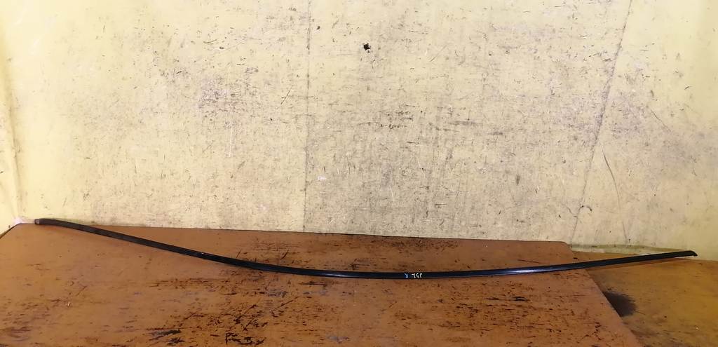 молдинг на крышу Nissan Teana 0