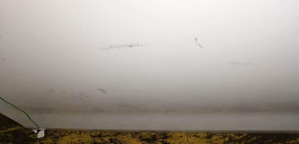 Кузов Toyota Passo 2