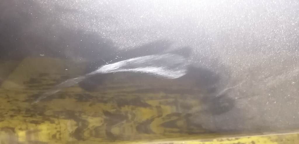 дверь Nissan Note 3