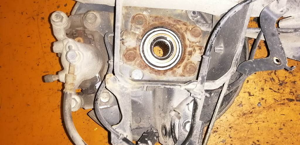 DUALIS NJ10 СТУПИЦА ЗАДНЯЯ ПРАВАЯ ABS Nissan Dualis 4